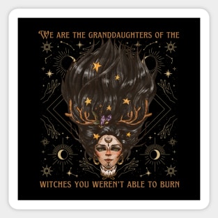 We Are The Granddaughters of The Witches You Weren't Able to Burn Sticker